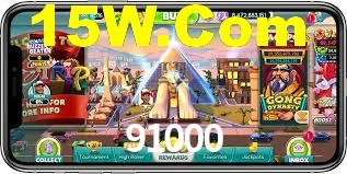Experiência VIP 91000